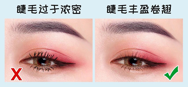 1623378996502382RTLT.jpg 5.jpg