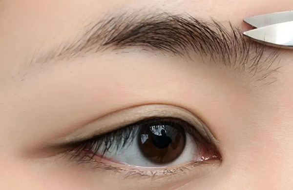 1663834352218252r0IR.jpg 2.jpg