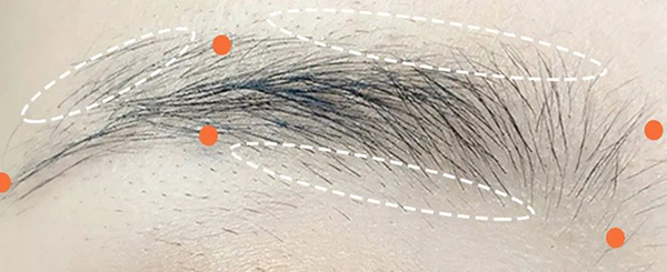 16638343671044561vsV.jpg 5.jpg