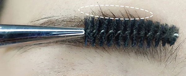 1663834372583887vuM5.jpg 6.jpg