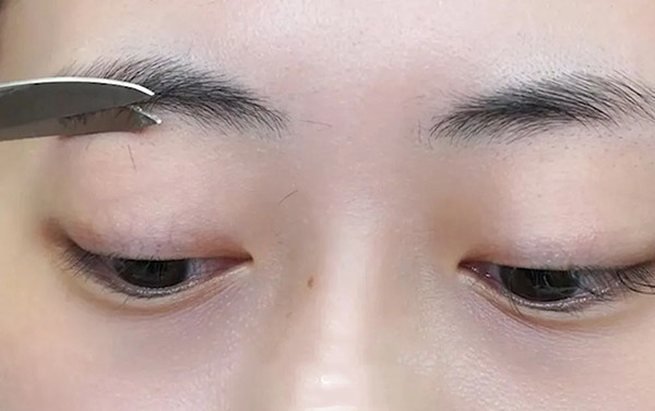 16638343762005279SCT.jpg 7.jpg